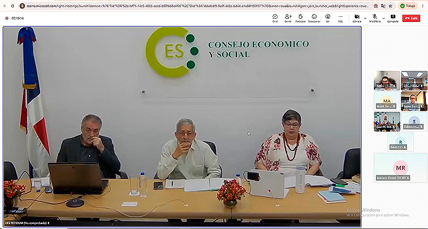 Taller virtual de la Red CESISALC
