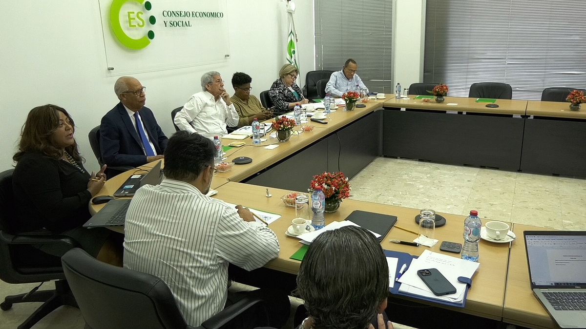 Reunión de la Comisión Ejecutiva del Consejo Económico y Social