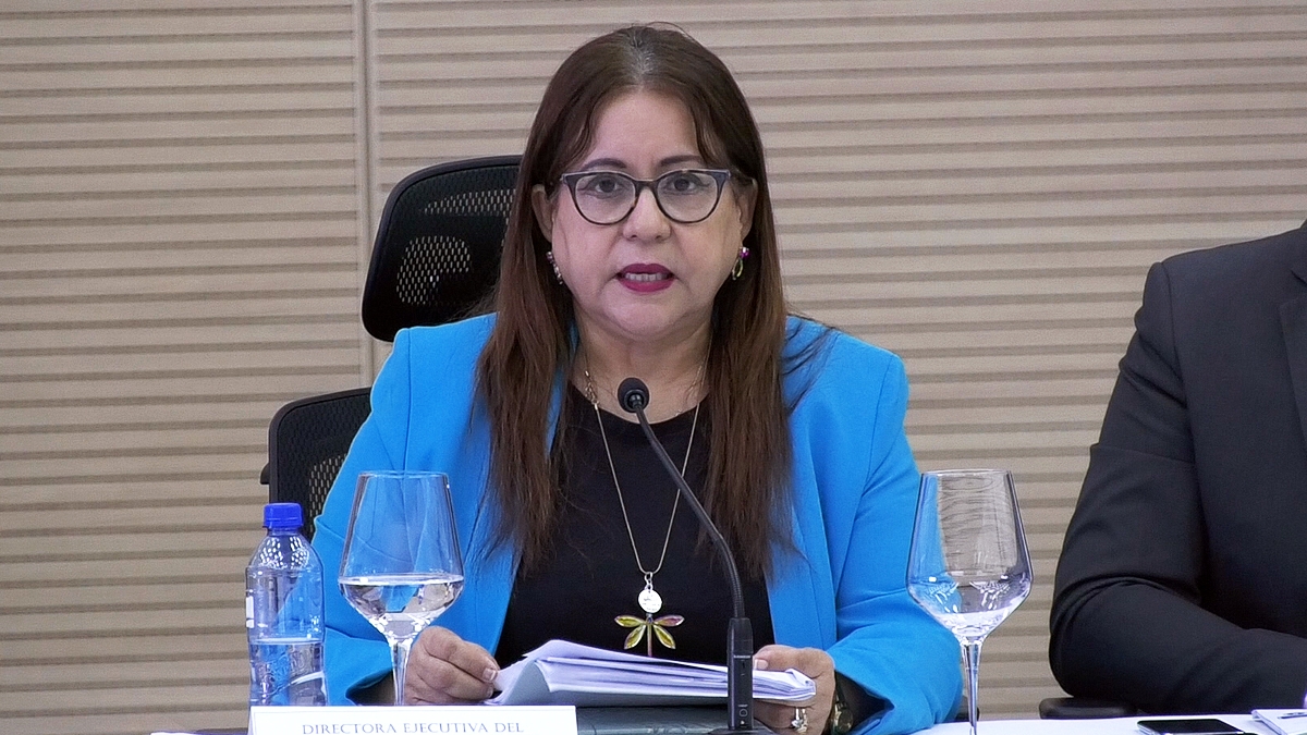 VIDEO: Presentación de Resultados del Proceso de Diálogo por las Reformas - Iraima Capriles