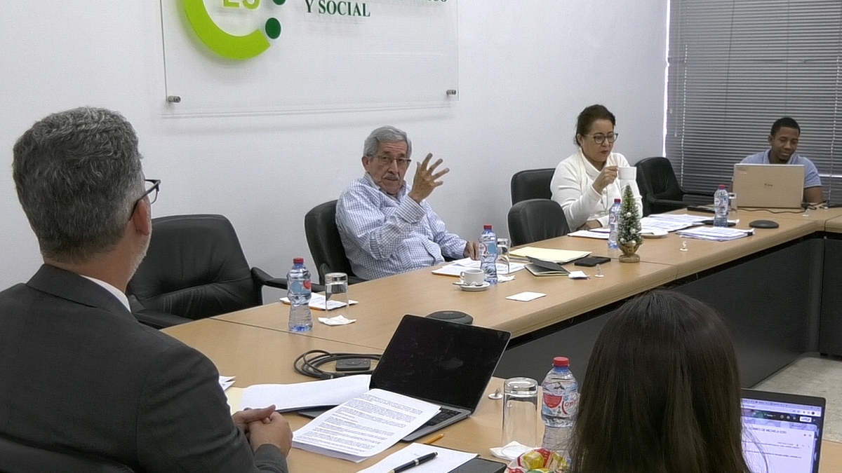 Reunión de la Comisión Ejecutiva del Consejo Económico y Social
