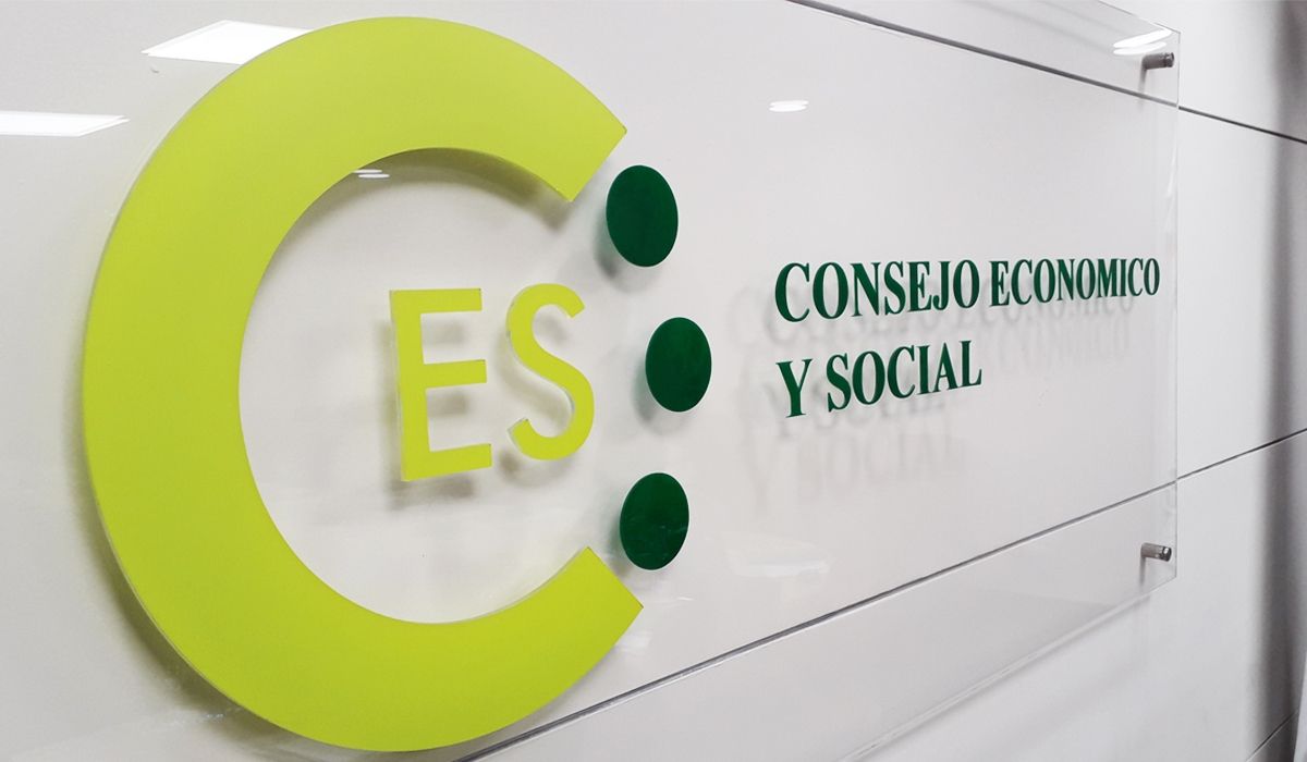 El Consejo Económico y Social presenta sus nuevas unidades de trabajo
