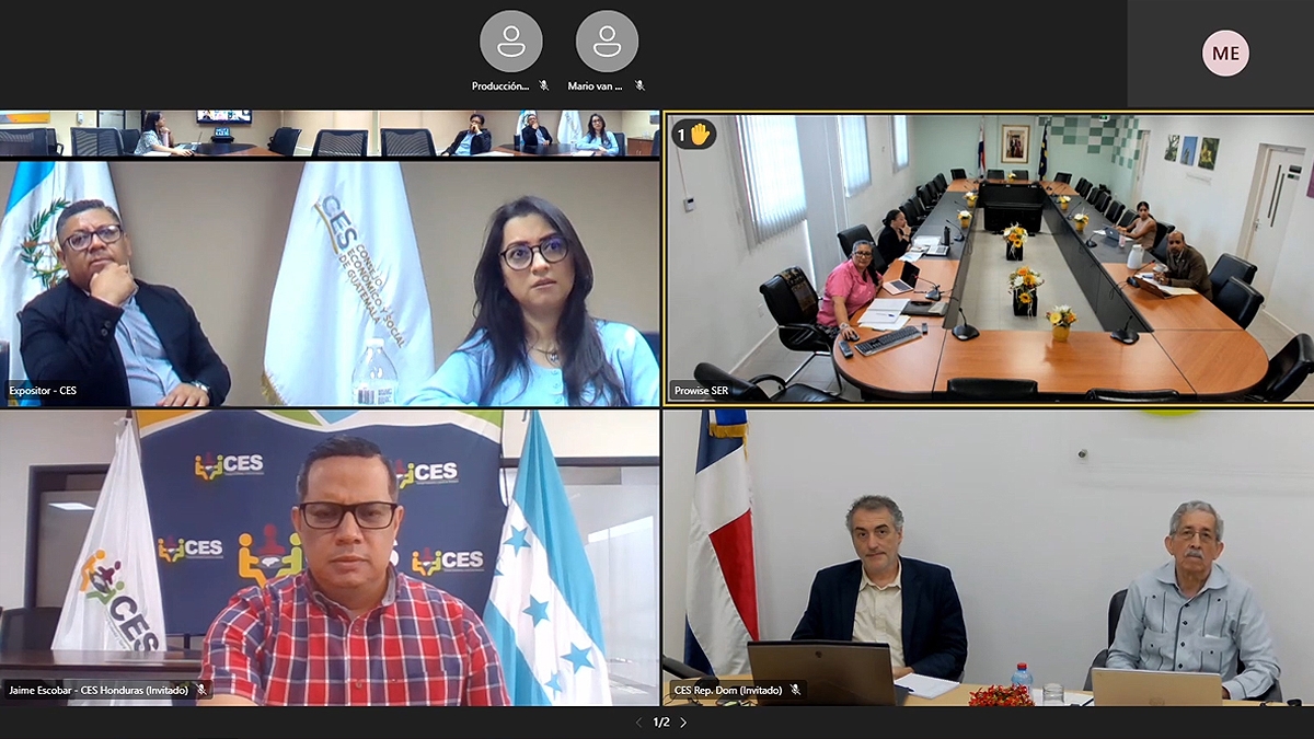 Encuentro virtual de la Red CESISALC