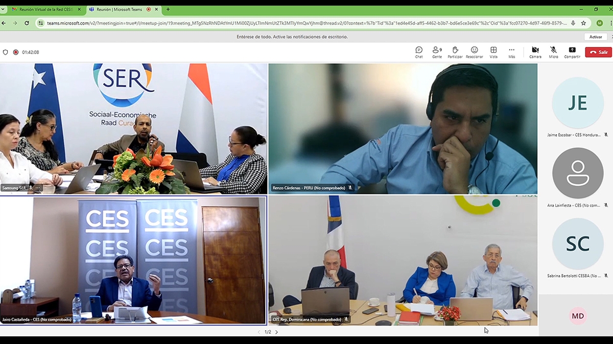 Encuentro virtual de la Red CESISALC