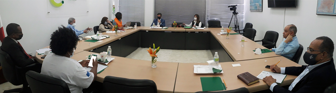 035 Comision Ejecutiva 5 de julio 2021