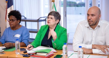Juramentación de la Comisión Ejecutiva, Vicepresidente y CEPE del Consejo Económico y Social