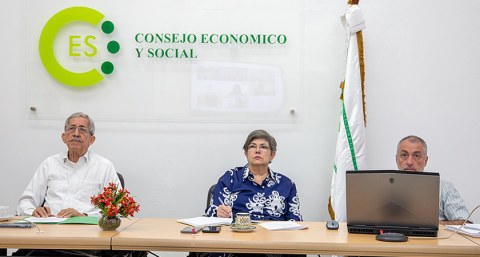 Encuentro virtual de la Red CESISALC