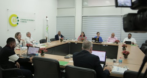 Reunión del Pleno de Integrantes del Consejo Económico y Social