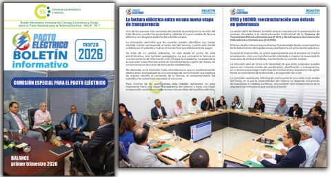 Boletín Informativo Nº 7 del Pacto Eléctrico
